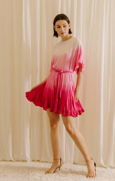 Ariane Lace Mini Dres